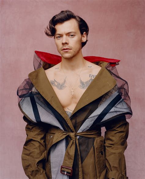 Harry Styles Poses Nude for New Album Photos